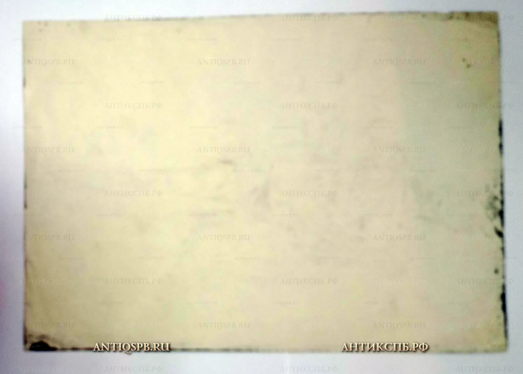 1375. Рисунок "Натурщик". Бумага, карандаш. Поляков А. И. СССР. Вт. пол. ХХ века. 