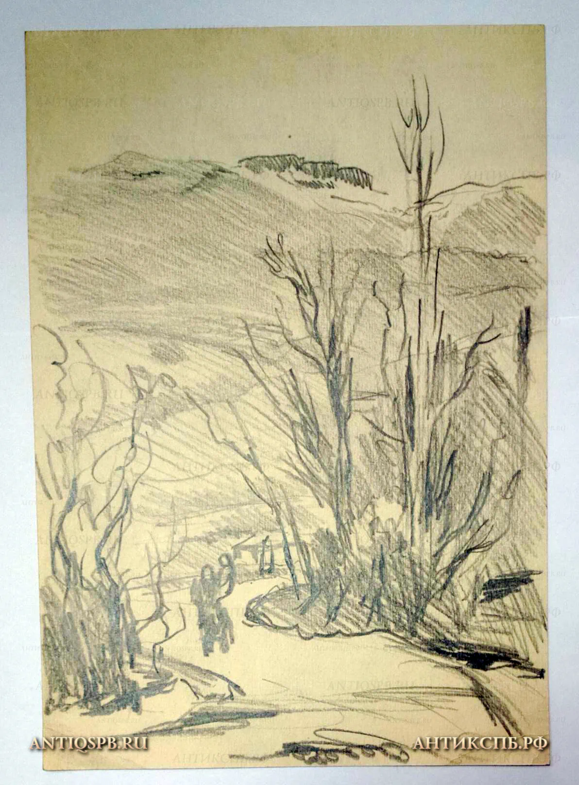 Рисунок «В горах». Художник: Поляков Александр Иванович (1924-1998). Бумага, карандаш. Вт. пол. ХХ века. №1380