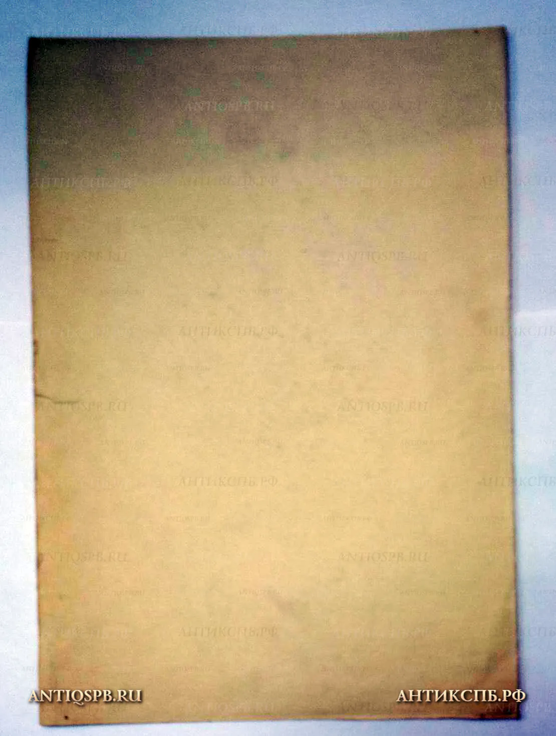 1386. Рисунок "Голова в анфас". Бумага, карандаш. Поляков А. И. Вт. пол. ХХ века. 