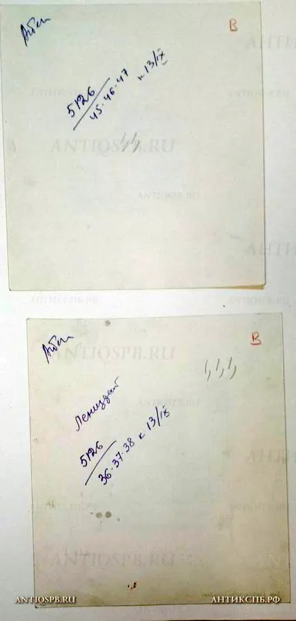 Рисунки "Грифоны Банковского моста" и "Решетка". №17339.101.1