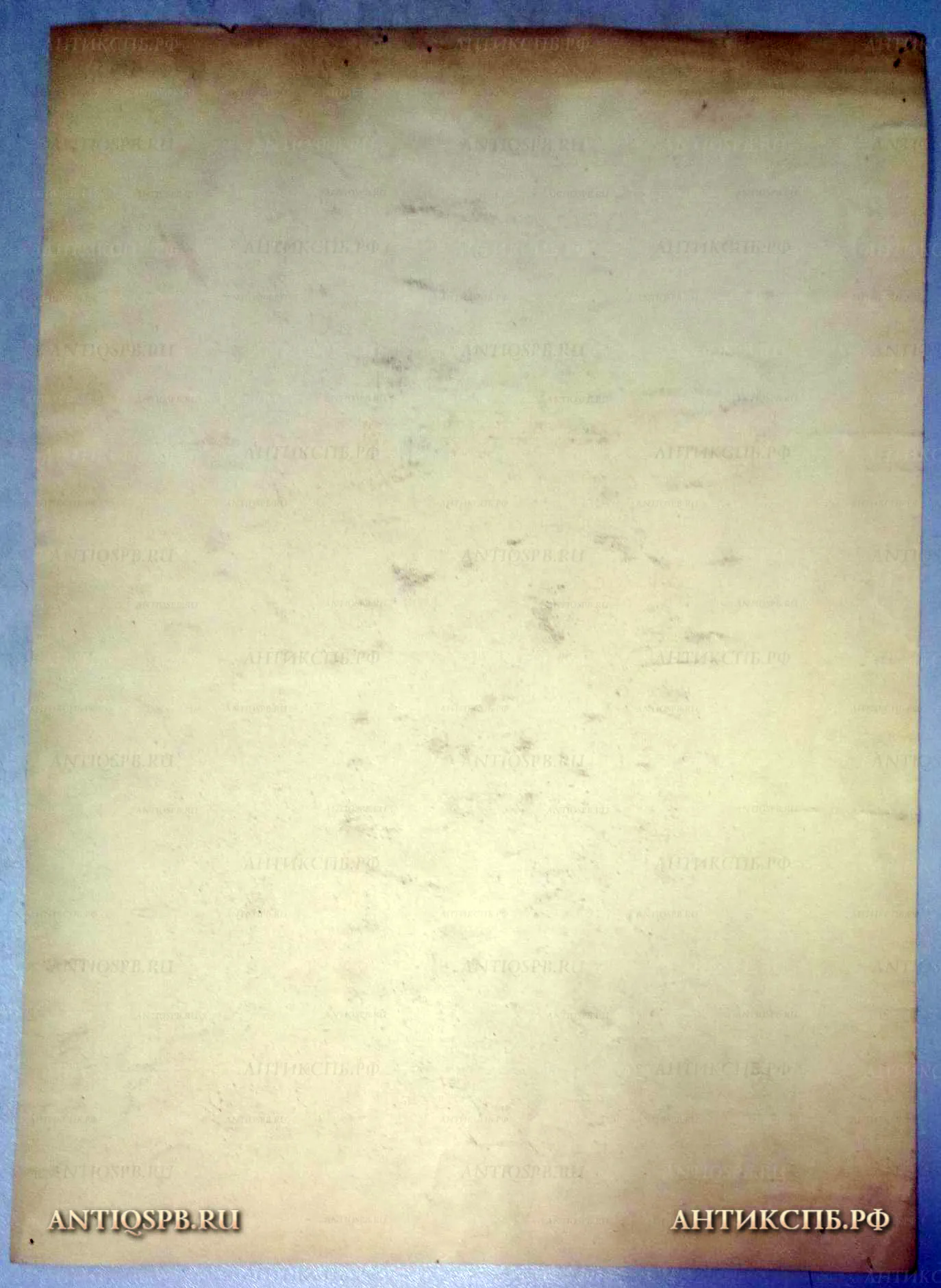 Рисунок "Женщина с полотенцем". №17339.69 