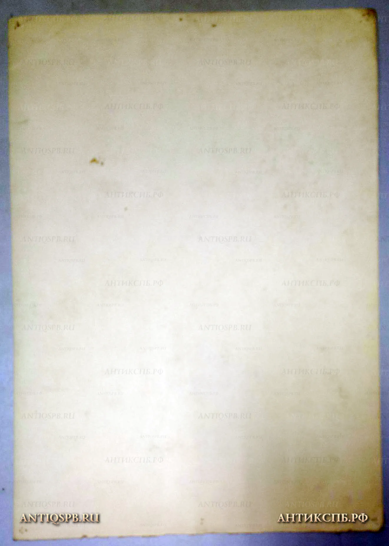 Рисунок "Портрет женщины в платке". №17339.78 [Цена: 1600 руб.]