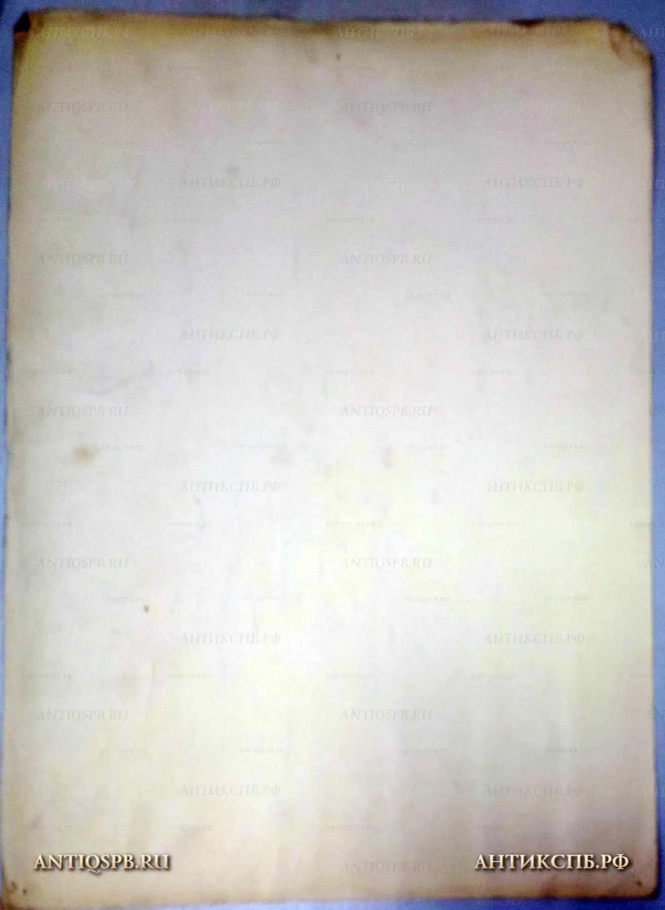 Рисунок "Женский портрет". №17339.79