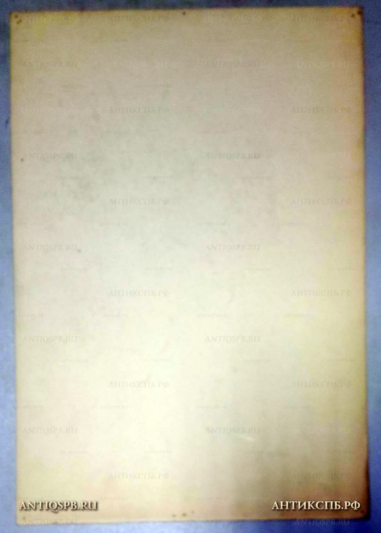 Рисунок "Портрет мужчины". №17339.81 