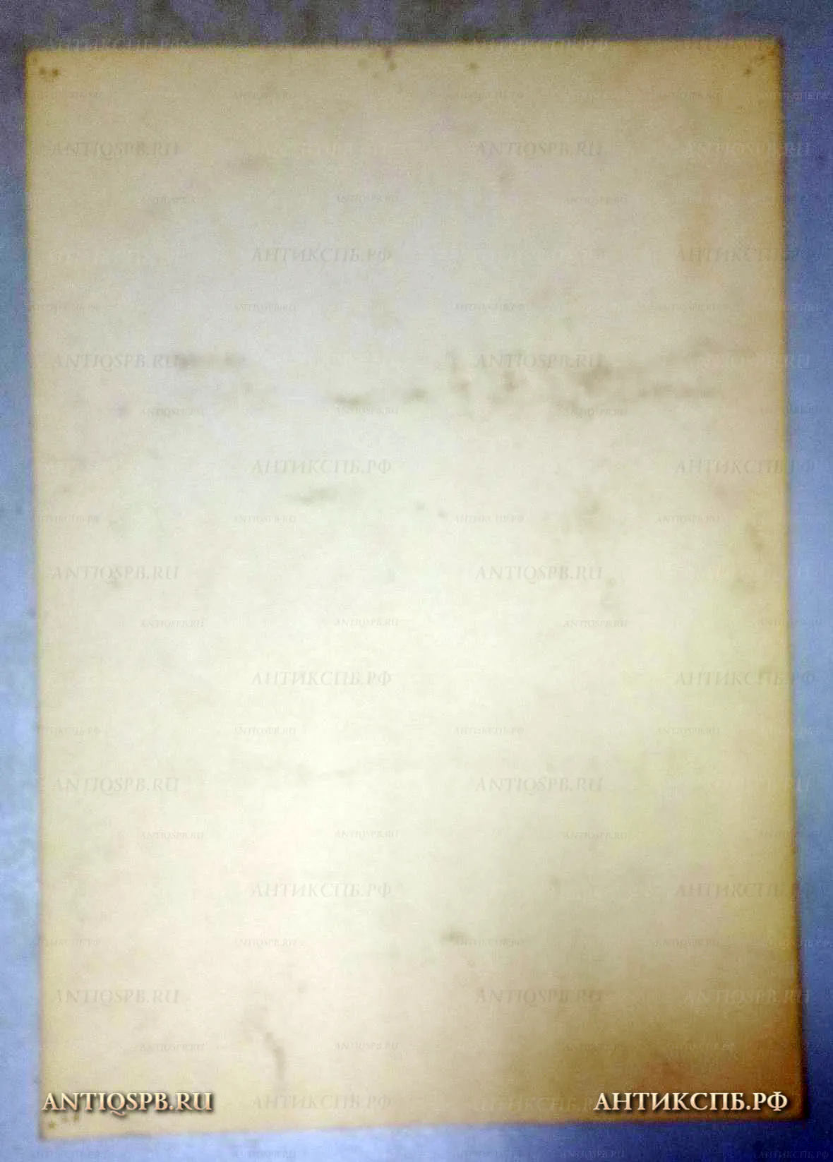 Рисунок "Женский портрет". №17339.85