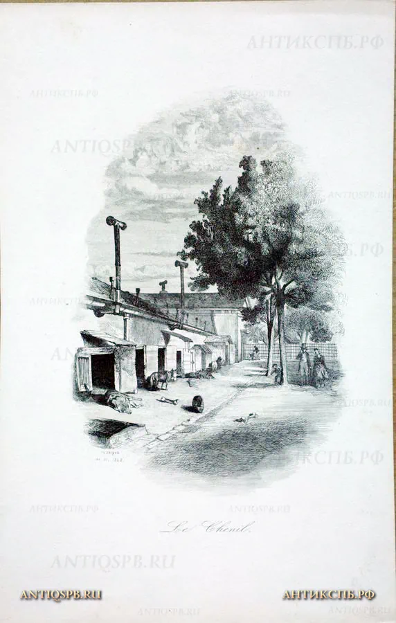17943.3. Гравюра "Собаки". Бумага. ХIХ век. (Цена по запросу)