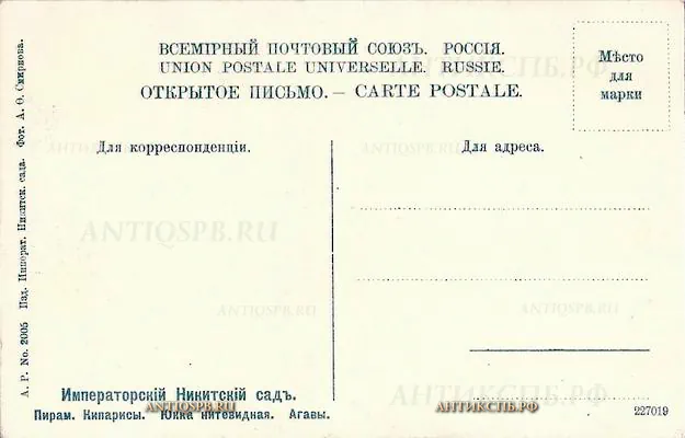 Открытка старинная "Императорский Никитский сад. Пирам. Кипарисы. Юкка нитевидная. Агавы". Россия. Нач. ХХ века. №5286.1-557