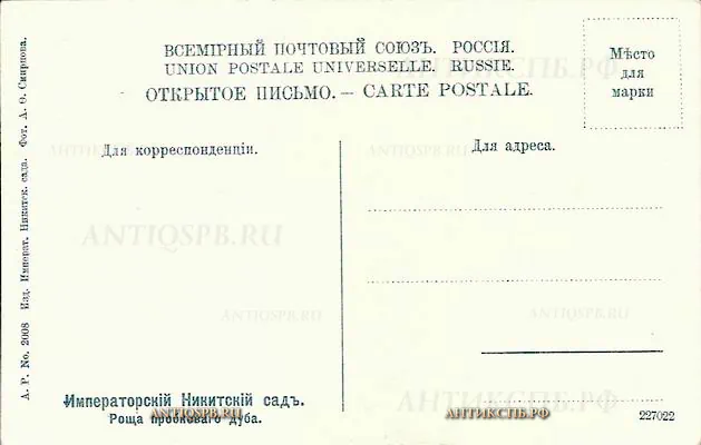Открытка старинная "Императорский Никитский сад. Роща пробкового дуба". Россия. Нач. ХХ века. №5286.9-553